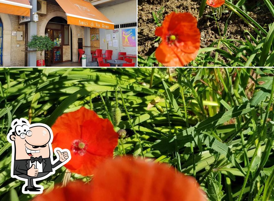 Ecco un'immagine di FRIEND'S CAFE' - Amici di Via Roma s.n.c