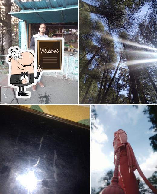 5 Bench Tea and Maggie Cafe