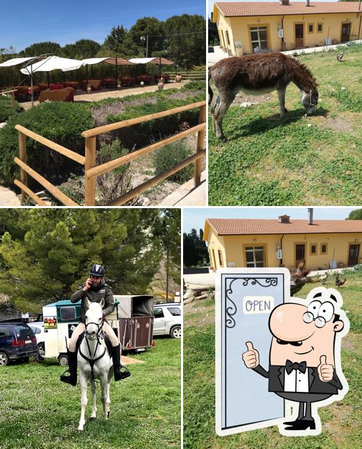 Massaria Ruvettu Ristorante