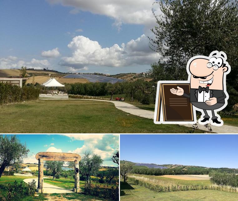 Puoi goderti l'aria fresca da seduto all'esterno di Agriturismo IL COLLE DELLE DELIZIE