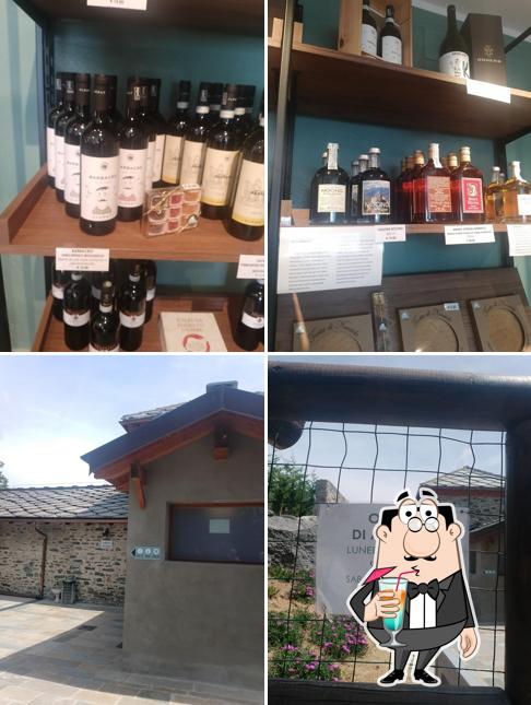 Convivium Bar & Shop