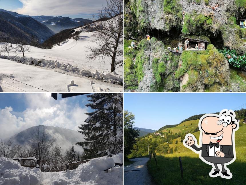Curiosa tra la parte esterna di Brunarica Na Osolniku
