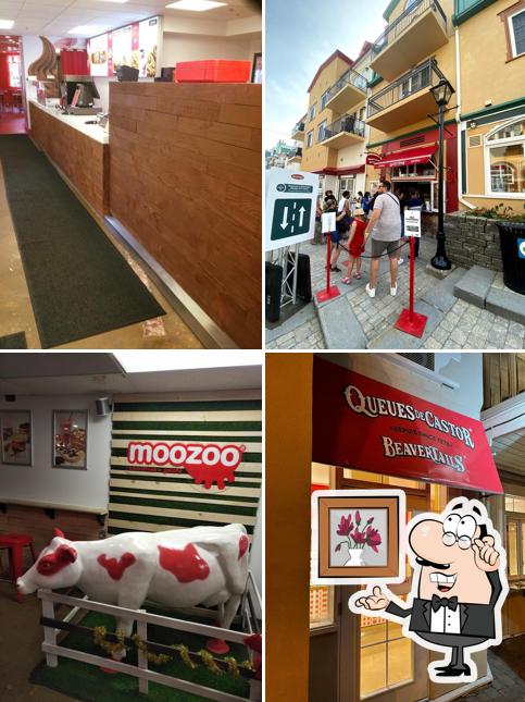 BeaverTails / Queues de Castor