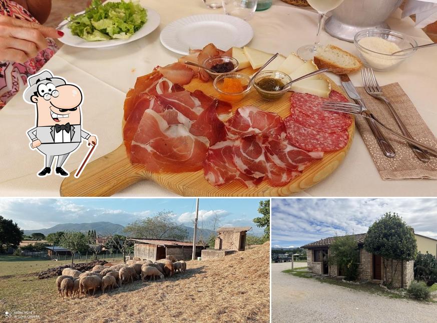 Questa è la foto che presenta la esterno e cibo di Agriturismo Regno Verde