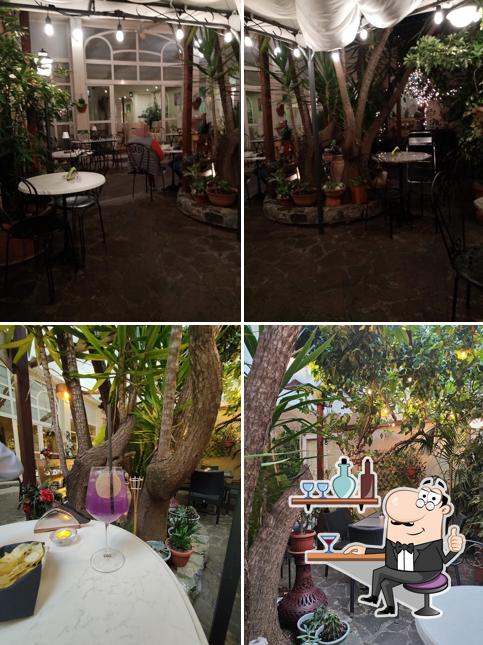 Gli interni di Garden Bar
