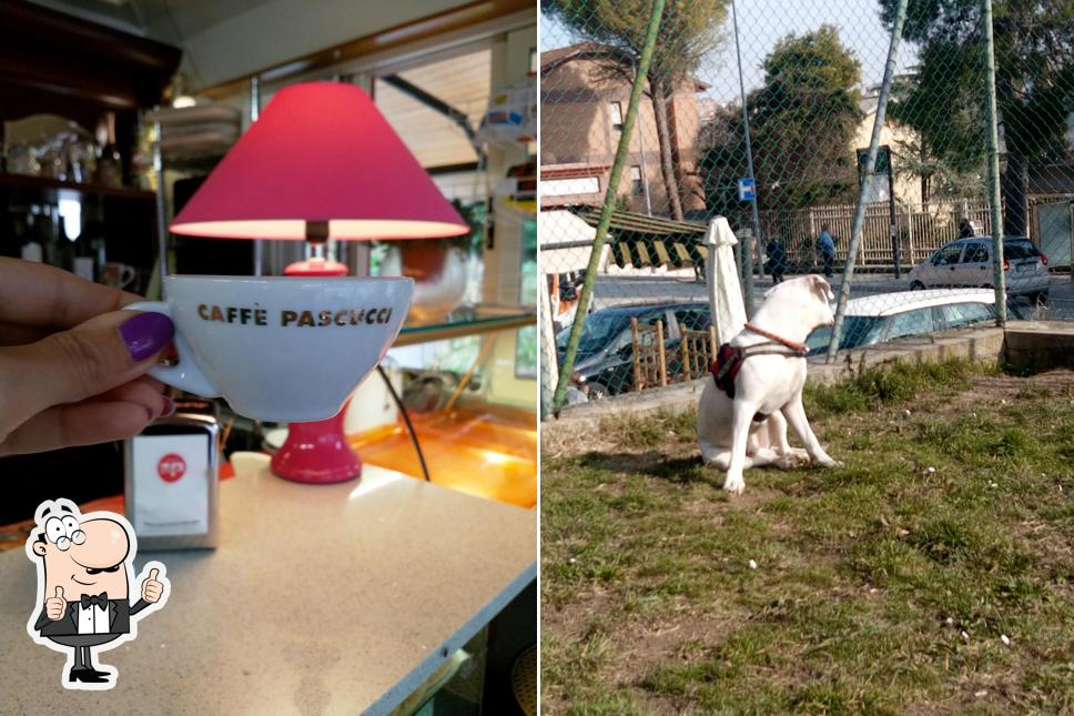 Guarda questa immagine di Dolce Vita Il Bar Da Red