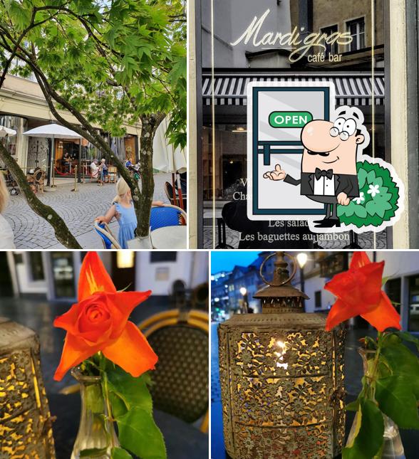 Goditi la vista dagli esterni di Mardi Gras