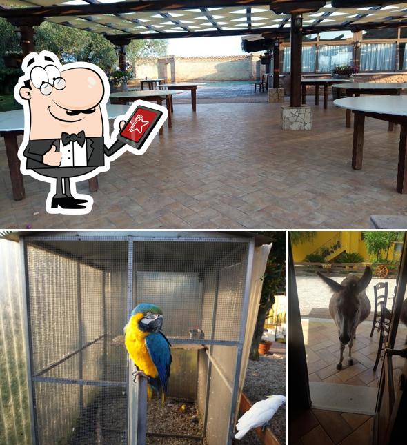 Goditi la vista dagli esterni di Agriturismo La piana dell'Erika