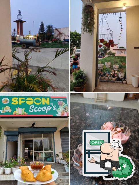 Spoon and Scoops
