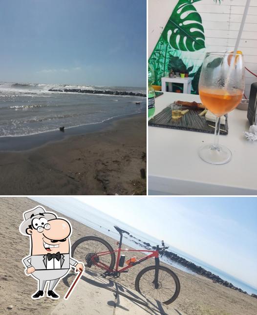Dai un’occhiata alla foto che raffigura la esterno e cibo di Harbour Cafè - Bar e Caffè