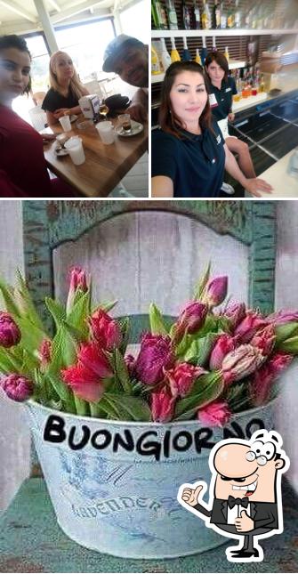 Caffetteria "Tredici"