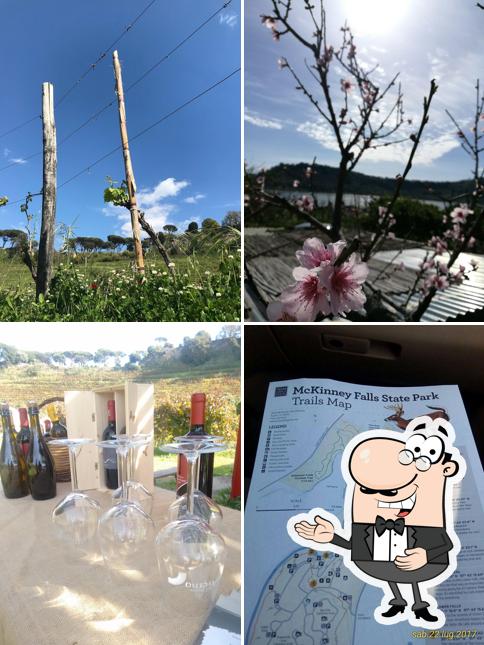 Agriturismo Cantine dell'Averno