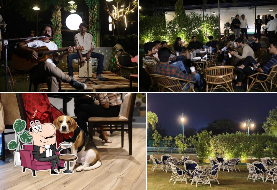 Check out how Cafe Brewista looks inside