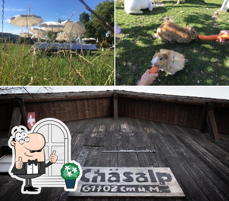 Gli esterni di Chäsalp
