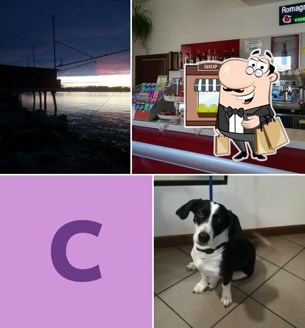 Circolo Arci Fiumicino