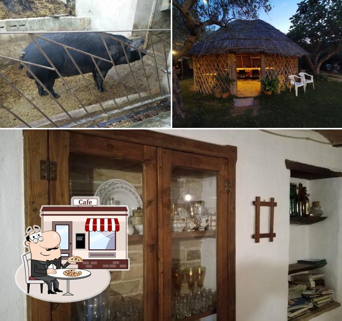 Gli esterni costituiscono una caratteristica importante di Agriturismo Caniloro