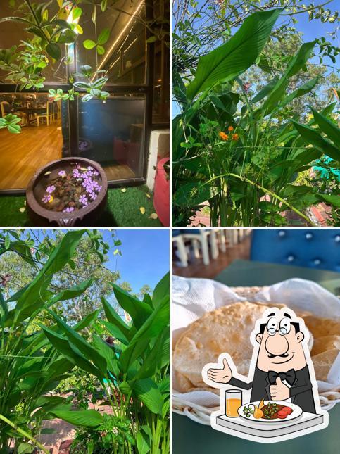 Food at Maharaja Cafe & Restaurant