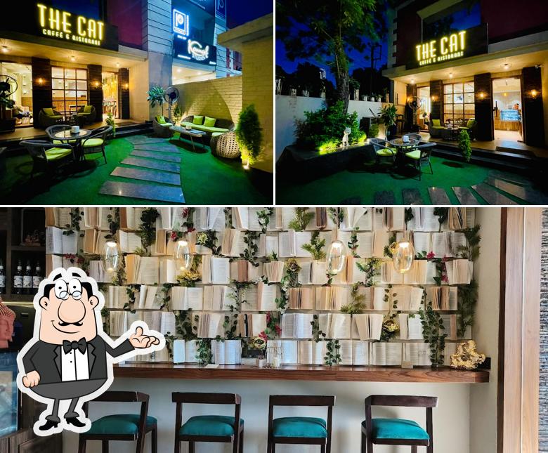 Check out how The Cat Caffé & Ristorant looks inside