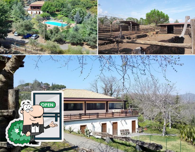 Guarda la parte esterna di Il Rustico La Casa degli Ulivi