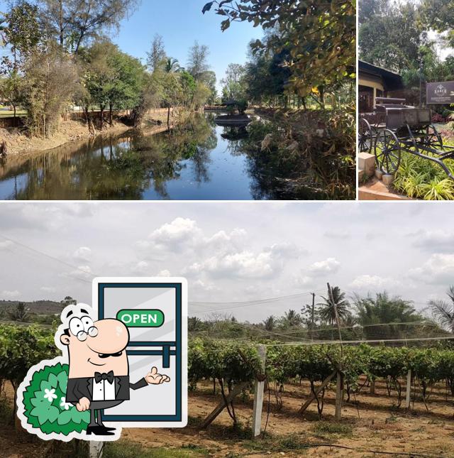 Enjoy the view at the outside area of Ranch at Big Banyan Vineyard & Resort