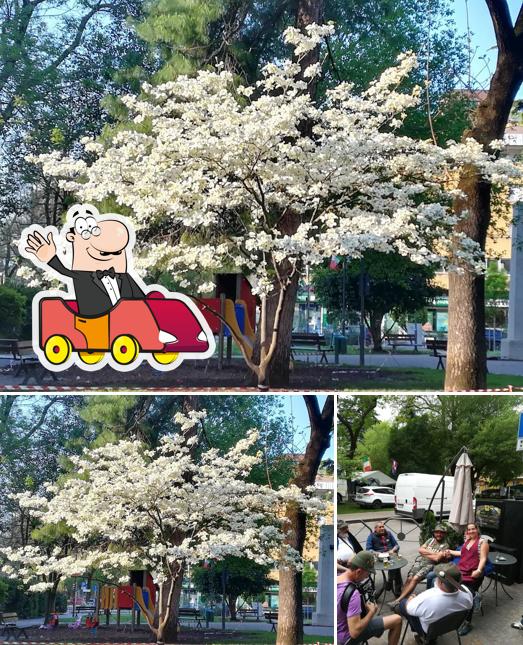 Vedi questa foto di Zinzorla Srl