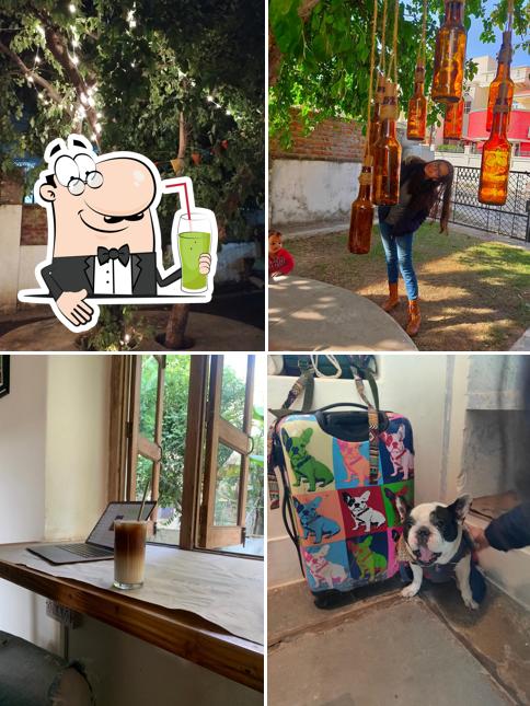 Jajam: Co-working Space / Coffee Shop