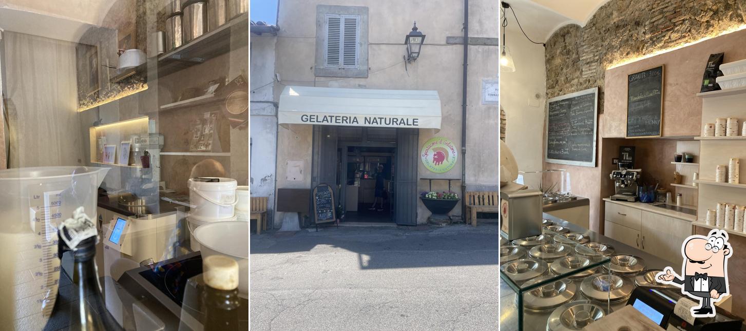 Gli interni di Spartacone Il Gelatone