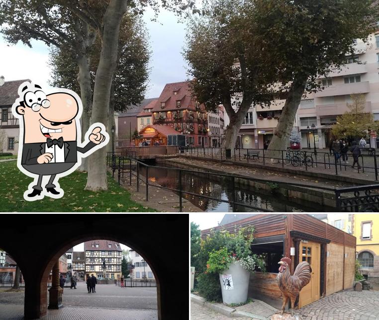 Guarda gli esterni di Albergo Ristorante e Pizzeria Zi Nicolina