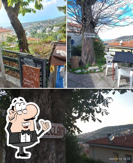 Dai un'occhiata agli interni di Eccolo, Osmiza In Città