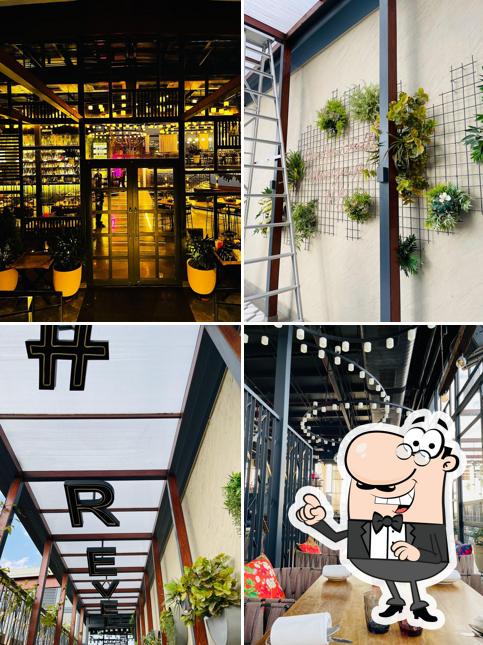 Jaipur Local - Everyday Bar