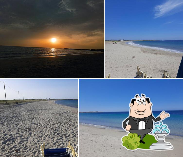 Guarda gli esterni di ALTAMAREA Lido Torrazza