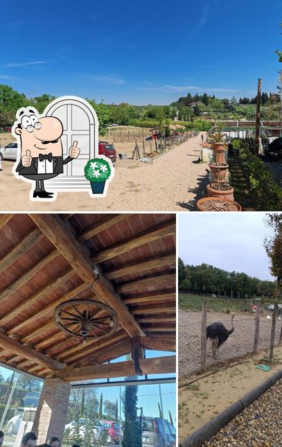 Gli esterni di Bio & Brado
