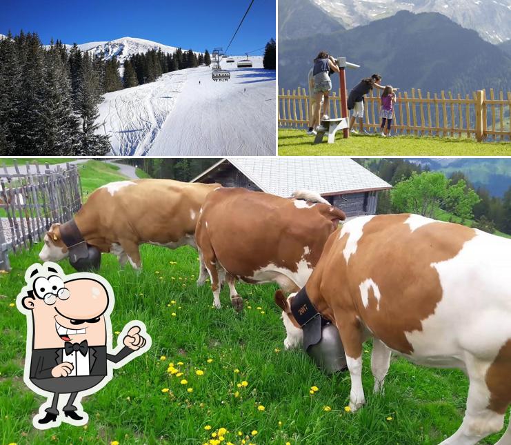 Gli esterni di Restaurant Bühlberg - by Lenkerhof