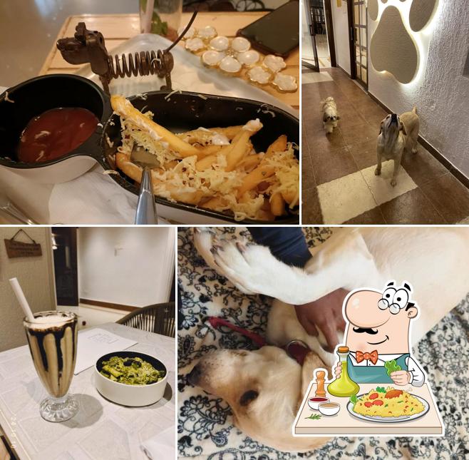 Food at The Pet Cafe Hyderabad