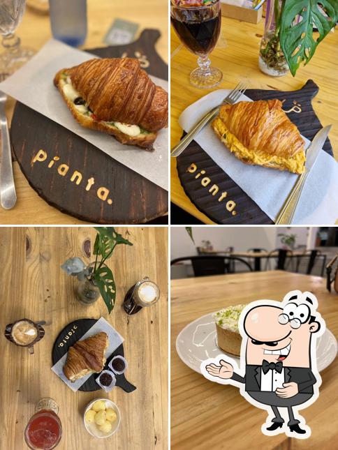 Pianta café