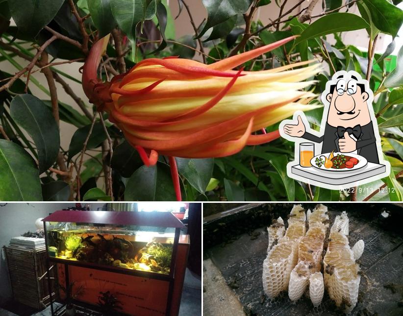 Food at Golu Da's Cafe