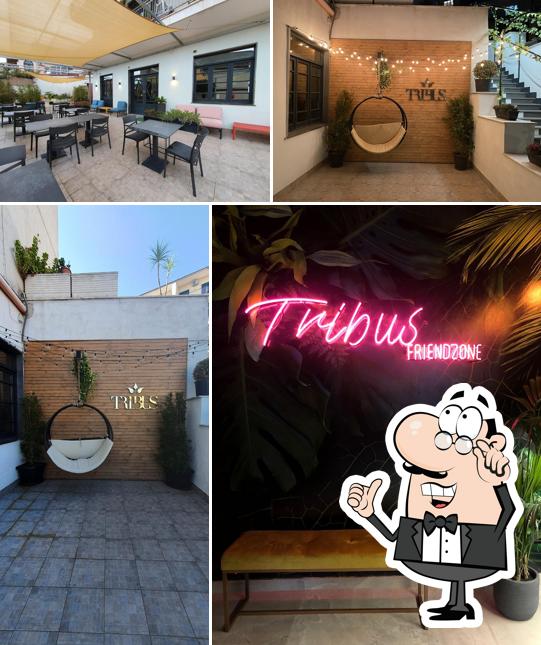 Gli interni di Tribus Restaurant