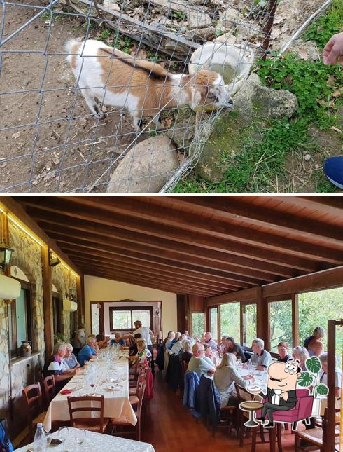 Siediti a un tavolo di Agriturismo a Rametta