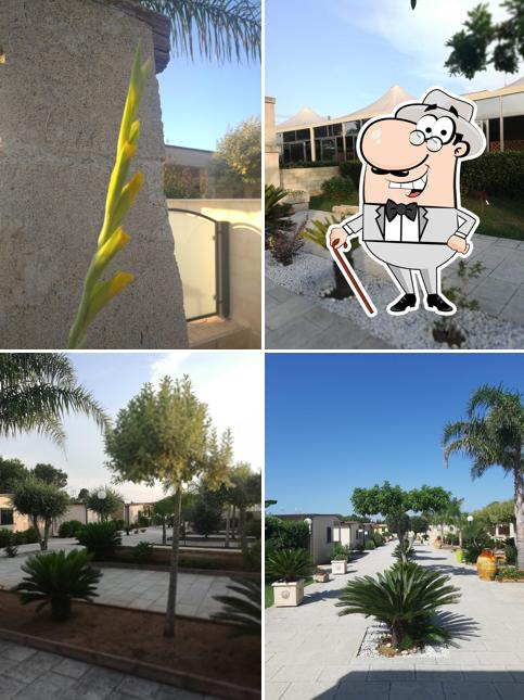 Curiosa tra gli esterni di La Pineta Residence