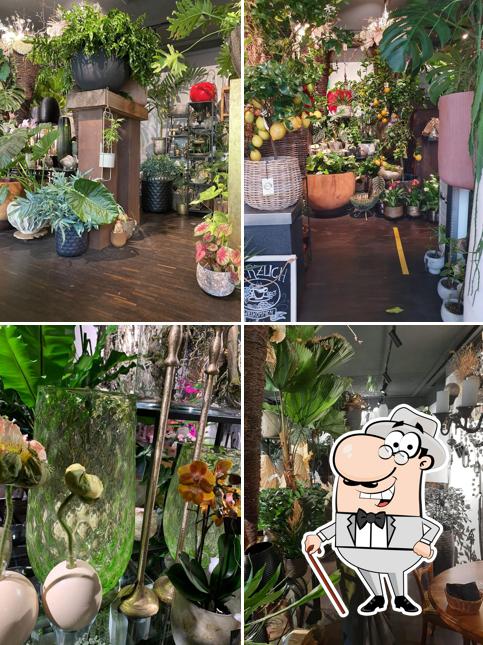 Guarda gli esterni di Blumen Café Fany