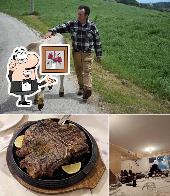 Siediti a un tavolo di Agriturismo Oliveto