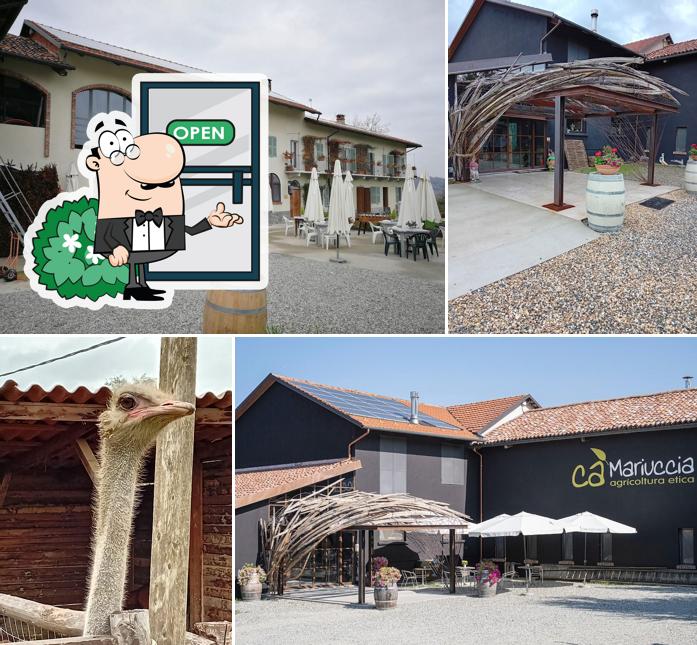 Gli esterni di Ca'Mariuccia Agriturismo biologico