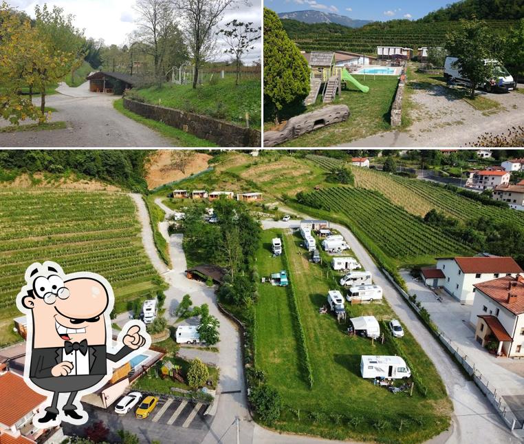 Curiosa tra gli esterni di Saksida, wine & camping resort