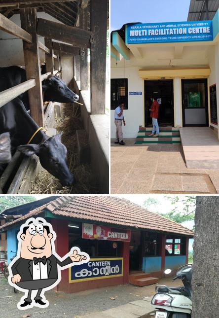 The interior of Kvasu Canteen