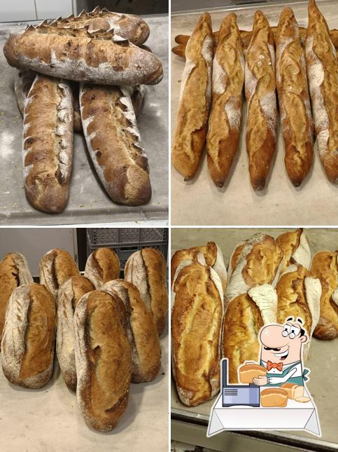 L'epi Cathare