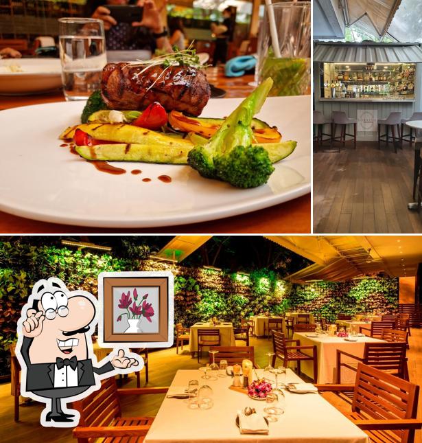 Check out how Sorriso looks inside