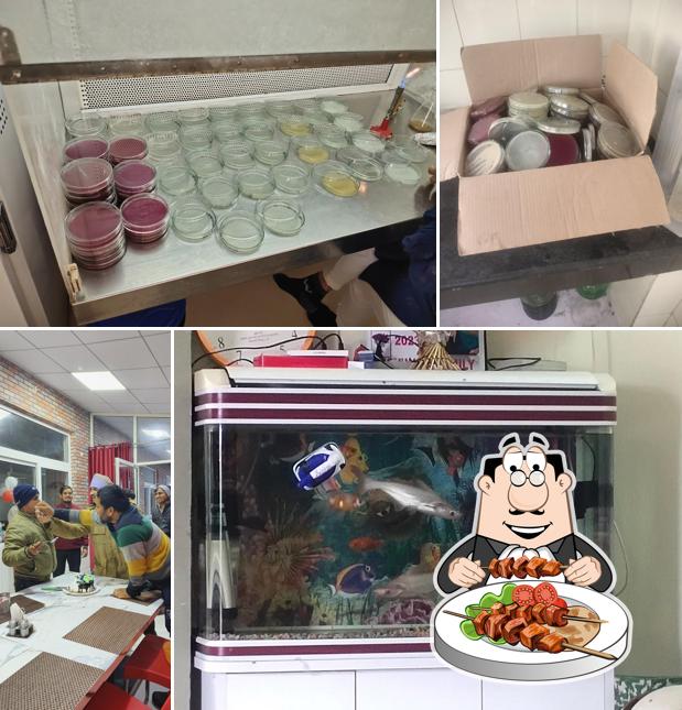 Food at Garima Milk & Food Products Ltd