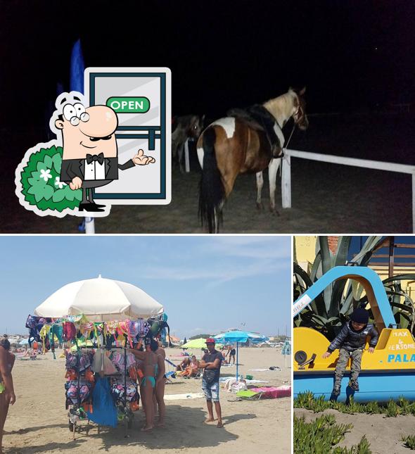 Gli esterni di Ristorante La Cannuccia