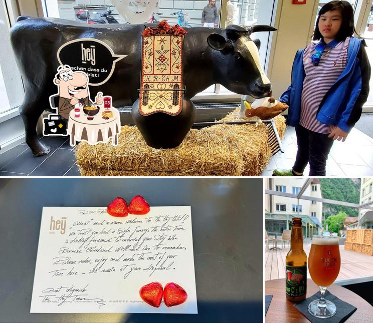 THE HEY HOTEL INTERLAKEN si caratterizza per la cibo e bevanda