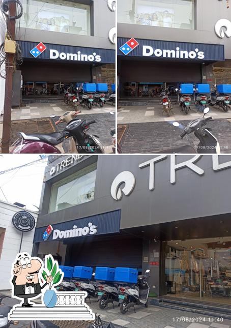 Domino's Pizza TRENDS, Itarsi